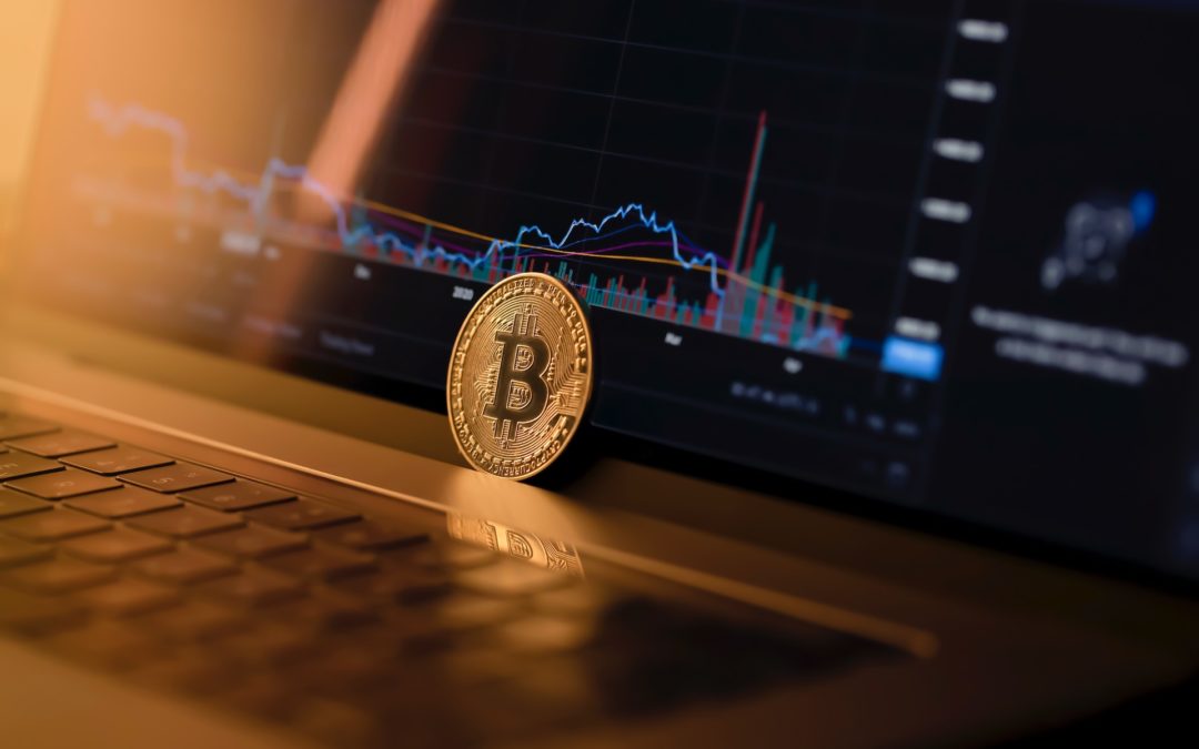 Best Crypto Trading Course For Beginners: Start Trading Cryptocurrencies with These Courses